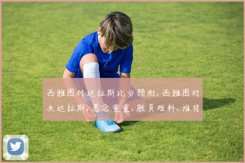 西雅图对达拉斯比分预测,西雅图对决达拉斯,悬念重重,胜负难料,谁将问鼎