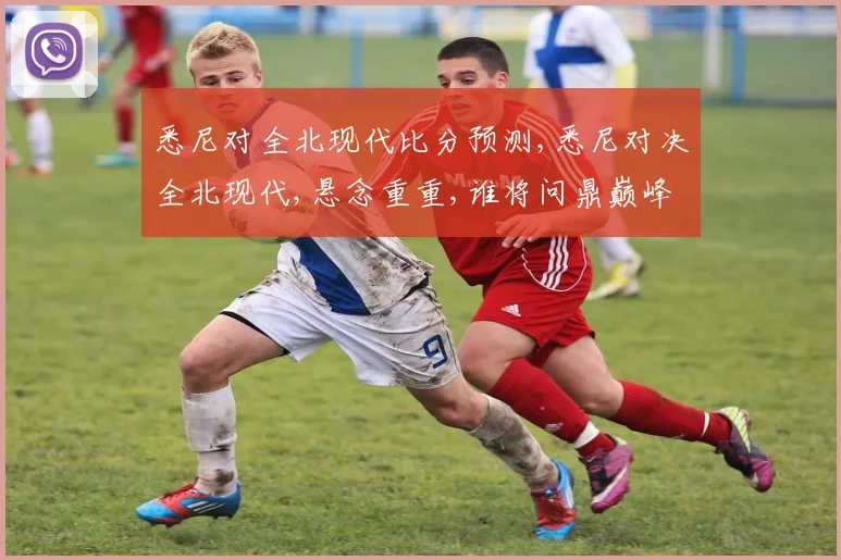 悉尼对全北现代比分预测,悉尼对决全北现代,悬念重重,谁将问鼎巅峰