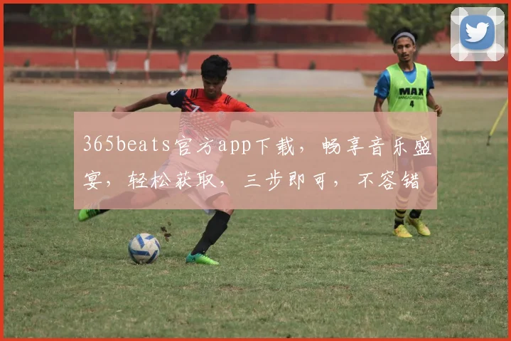 365beats官方app下载，畅享音乐盛宴，轻松获取，三步即可，不容错过，必下载
