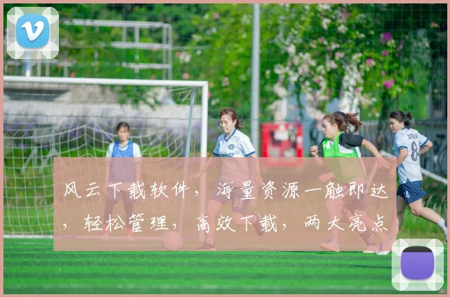 风云下载软件，海量资源一触即达，轻松管理，高效下载，两大亮点，你值得拥有