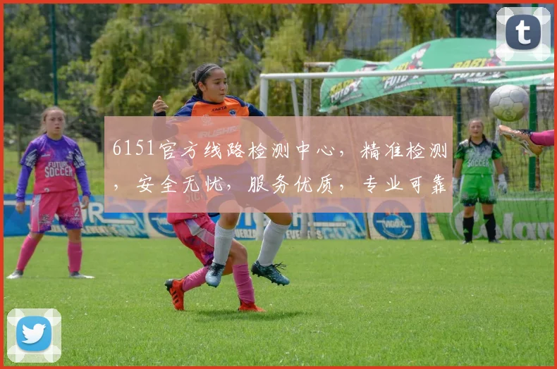 6151官方线路检测中心，精准检测，安全无忧，服务优质，专业可靠，三重保障，值得信赖